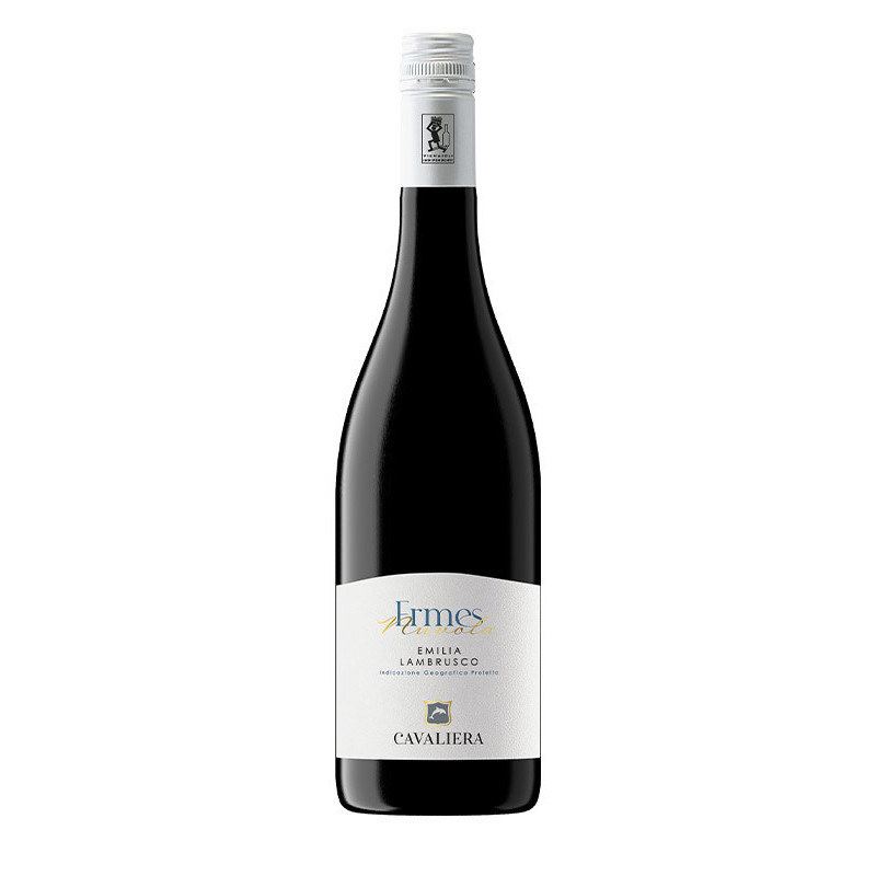 Ermes Lambrusco biologico sui lieviti frizzante secco Cavaliera.