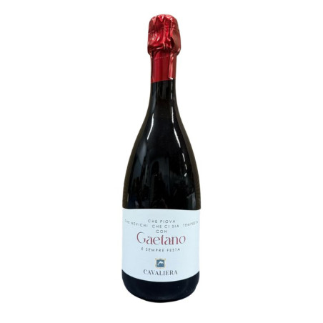 Ermes Lambrusco Grasparossa biologico DOP frizzante secco Cavaliera.