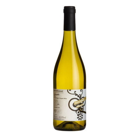Colli Orientali del Friuli DOC Ribolla Gialla Marco Sara