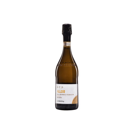 alloB Colli Bolognesi Pignoletto frizzante biologico