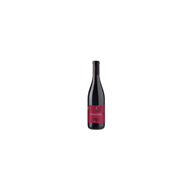 Colli di Rimini DOP rosso Puniceum Terre di Fiume
