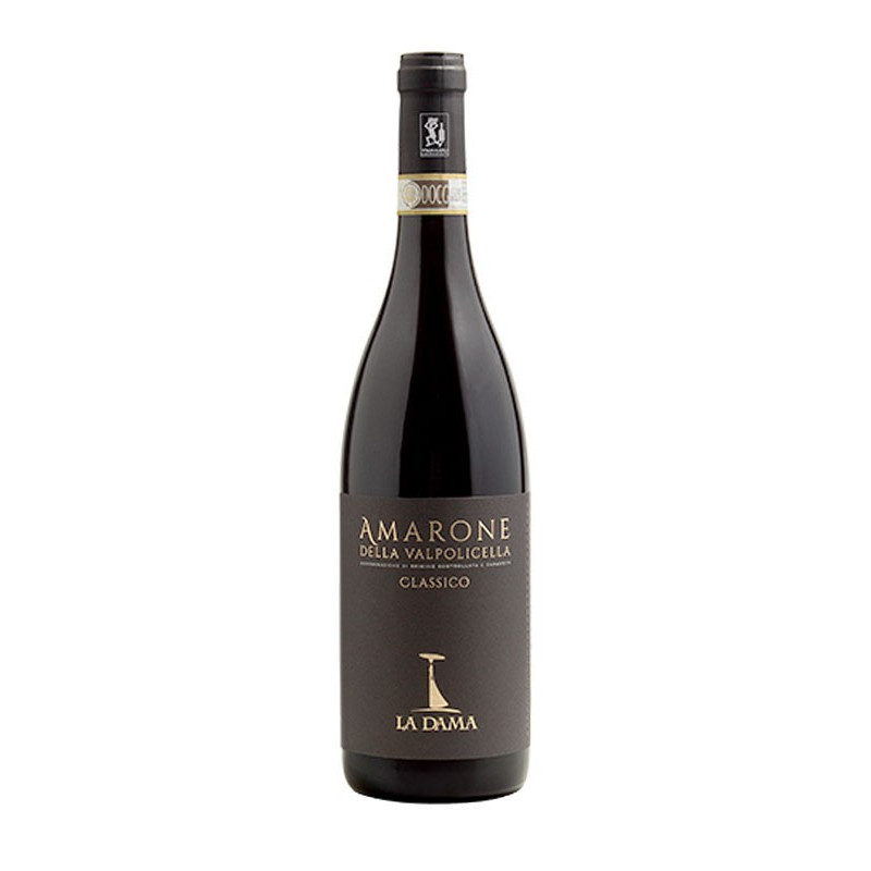 Amarone della Valpolicella Classico Biologico Docg 2017 2018 - La Dama