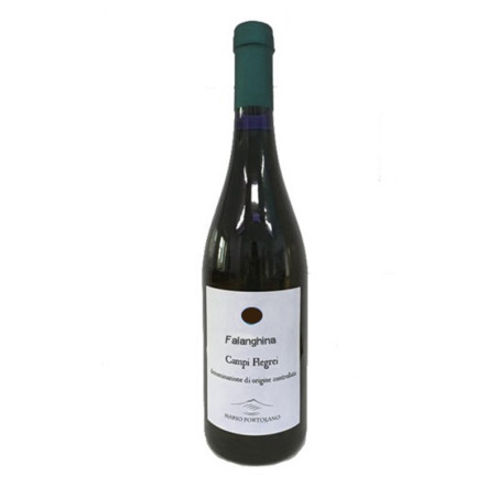 Falanghina Campi Flegrei Doc 2019 - Azienda Agricola Mario Portolano