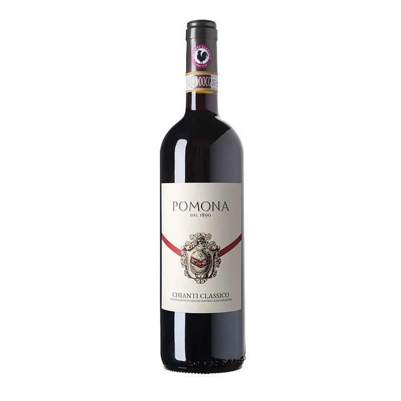 Chianti Classico DOCG 2018-2019 Fattoria Pomona