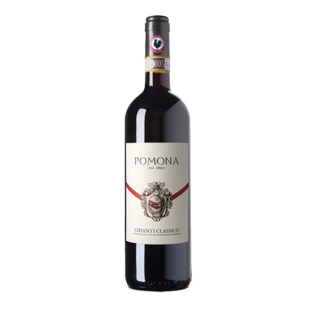 Chianti Classico DOCG 2018-2019 Fattoria Pomona