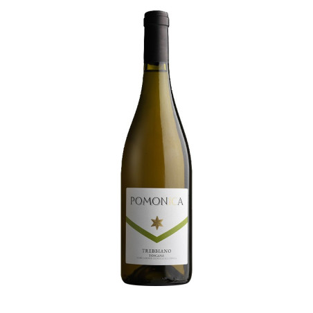 Toscana Igt Pomonica Trebbiano Toscano 2020 Fattoria Pomona